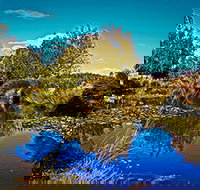 Loira Vines - Perths Hotel