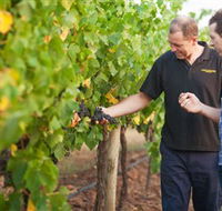 Fratin Brothers Vineyard - Perths Hotel
