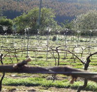 Three Willows Vineyard - Perths Hotel