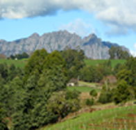 Lake Barrington Vineyard - Perths Hotel