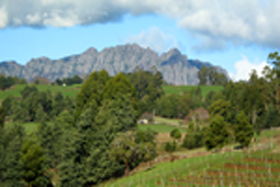 Lake Barrington Vineyard - Perths Hotel 0