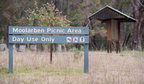 Moolarben Picnic Area - Perths Hotel 1