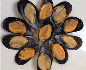 Advance Mussel Supply - Perths Hotel 3
