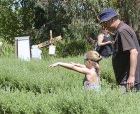 Hedgend Maze And Healesville Laser Sport - Perths Hotel 2