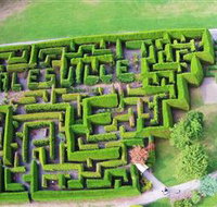 Hedgend Maze and Healesville Laser Sport - Perths Hotel