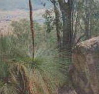 Mount Lawson State Park - Perths Hotel