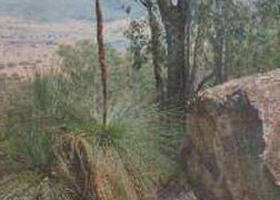 Mount Lawson State Park - Perths Hotel 0