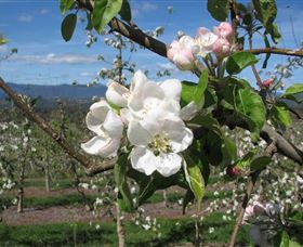 Mouat's Farm - Perths Hotel 0