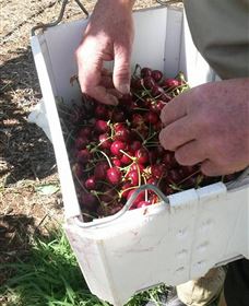 Mouat's Farm - Perths Hotel 3