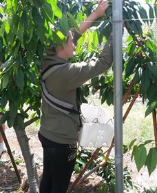 Mouat's Farm - Perths Hotel 4