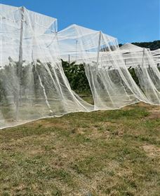 Mouat's Farm - Perths Hotel 5