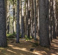Sugarpine Walk - Perths Hotel