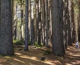 Sugarpine Walk - Perths Hotel 0