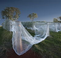 Toppers Mountain Wines - Perths Hotel