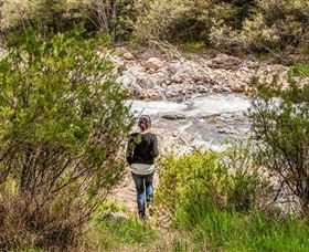 Old Mountain Road Walking Track - Perths Hotel 1