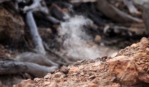Burning Mountain Nature Reserve - Perths Hotel 1