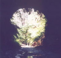 Glow Worm Tunnel - Perths Hotel