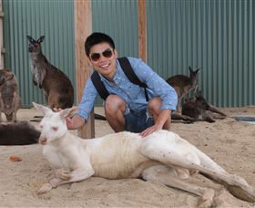Maru Koala And Animal Park - Perths Hotel 2