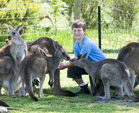 Maru Koala And Animal Park - Perths Hotel 4