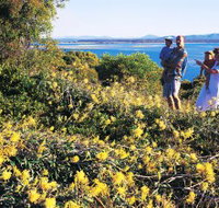 Joseph Banks Conservation Park - Perths Hotel