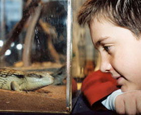Canberra Reptile Zoo - Perths Hotel 0