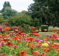 Alma Park - Perths Hotel