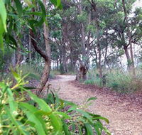 Mount Mutton Walking Trail - Perths Hotel