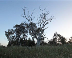 Cooleman Ridge - Perths Hotel 1