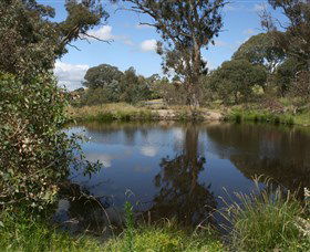 Cooleman Ridge - Perths Hotel 0