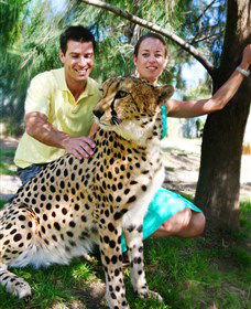 National Zoo & Aquarium - Perths Hotel 0