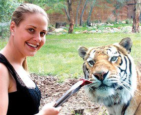 National Zoo & Aquarium - Perths Hotel 1