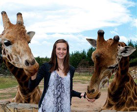 National Zoo & Aquarium - Perths Hotel 2