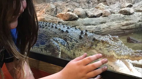 Canberra Reptile Zoo - Perths Hotel 3