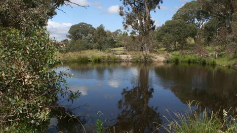 Cooleman Ridge - Perths Hotel 3
