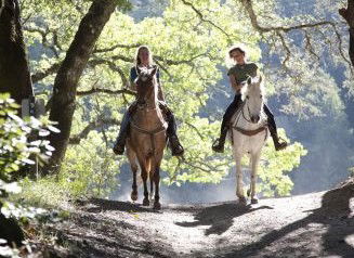 Hunter Valley Horse Riding And Adventures - Perths Hotel 1