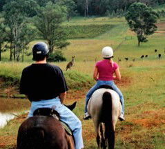 Hunter Valley Horse Riding And Adventures - Perths Hotel 3
