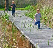 Hunter Wetlands Centre Australia - Perths Hotel 1