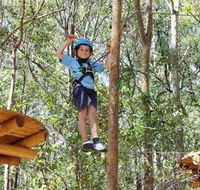 TreeTops Newcastle - Perths Hotel