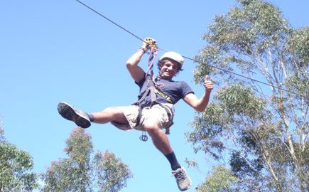 TreeTops Newcastle - Perths Hotel 1