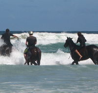 Pegasus Park Equestrian Centre - Perths Hotel