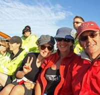 Byron Bay Whale Watching - Perths Hotel