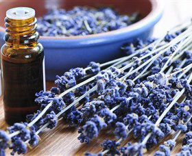 Pure Botanicals - Perths Hotel 2