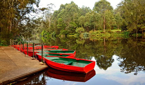Lane Cove National Park - Perths Hotel 0