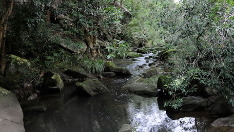 Lane Cove National Park - Perths Hotel 3
