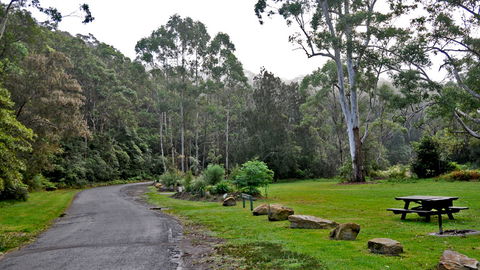 Lane Cove National Park - Perths Hotel 2