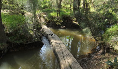 Second Ponds Creek Walk - Perths Hotel 2
