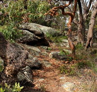 Box Head track - Perths Hotel