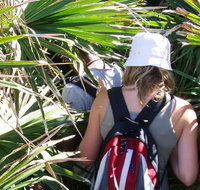 Palm Jungle loop track - Perths Hotel