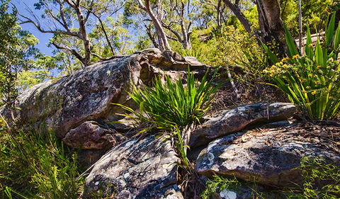 Canoelands Ridge Walking Track - Perths Hotel 1