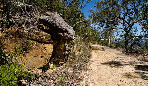 Canoelands Ridge Walking Track - Perths Hotel 0